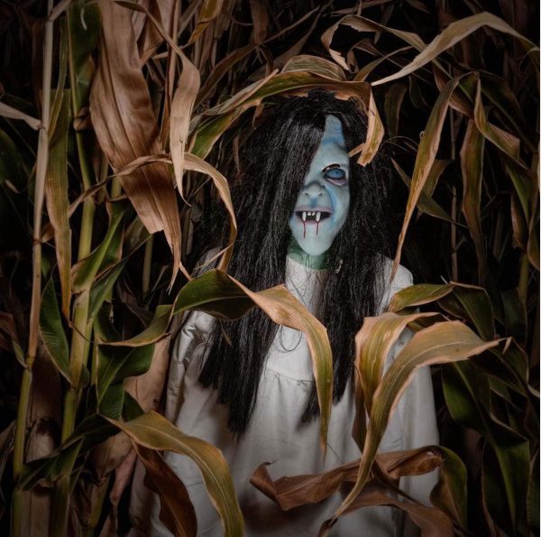Máscara De Mujer Vieja De Halloween Realista Aterradora - Imagen 2