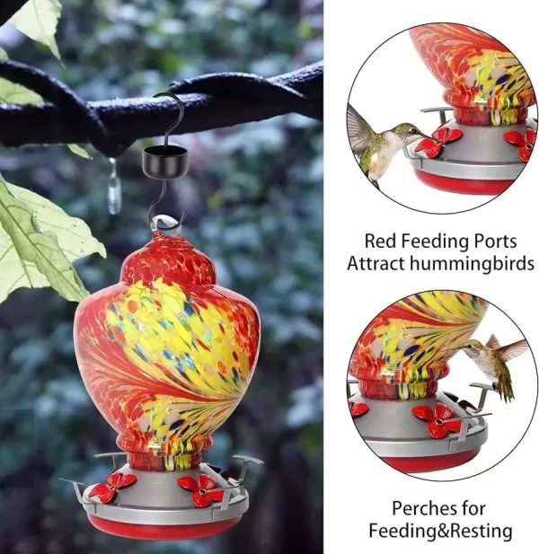 Bebederos Y Comederos Para Colibrí - Imagen 2