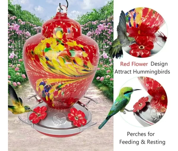 Bebederos Y Comederos Para Colibrí - Imagen 4