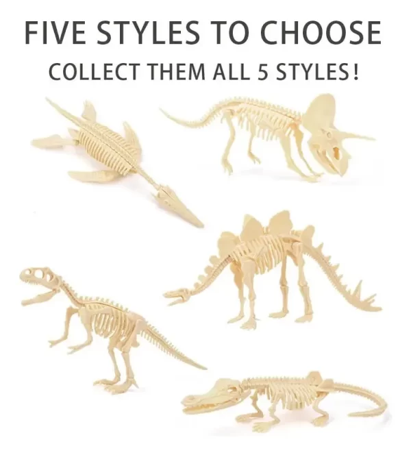 Jurásico Animal Dinosaurio Esqueleto Fósil Set De 5 Pcs - Imagen 10