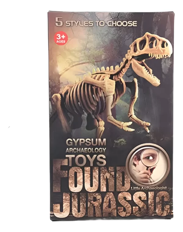Jurásico Animal Dinosaurio Esqueleto Fósil Set De 5 Pcs