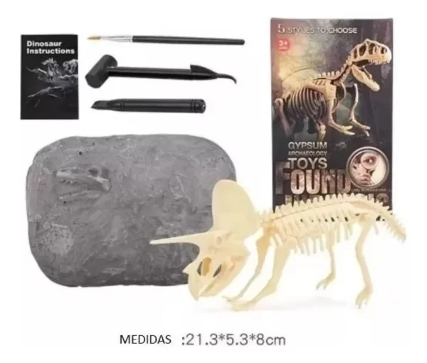 Jurásico Animal Dinosaurio Esqueleto Fósil Set De 5 Pcs - Imagen 9