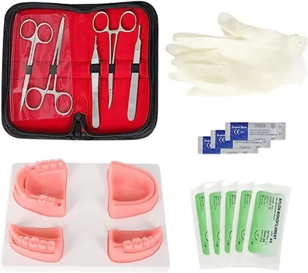 Kit Dental De Entrenamiento Para Estudiante De Odontología