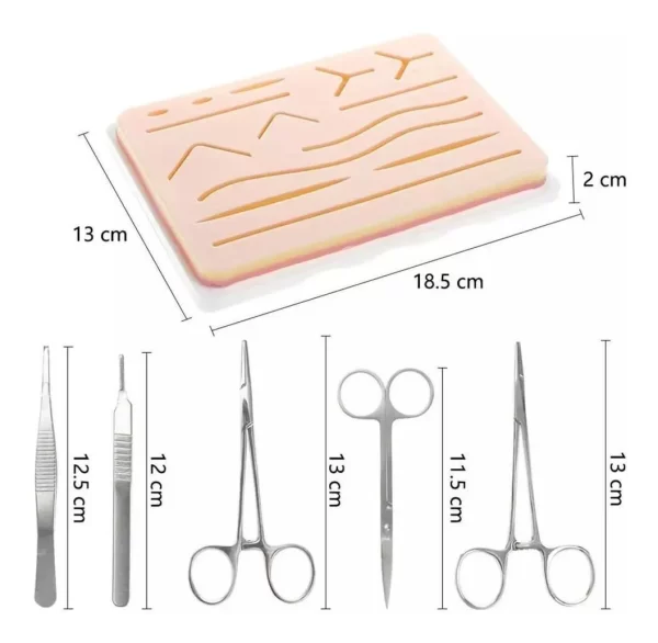 Kit Dental De Entrenamiento Para Estudiante De Odontología - Imagen 3
