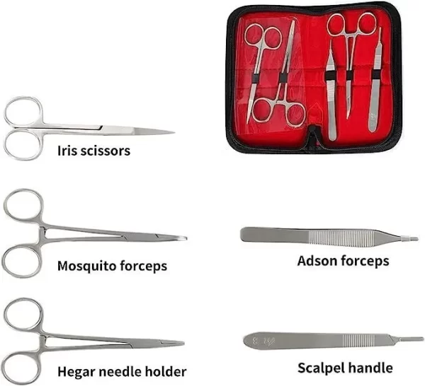 Kit Dental De Entrenamiento Para Estudiante De Odontología - Imagen 7