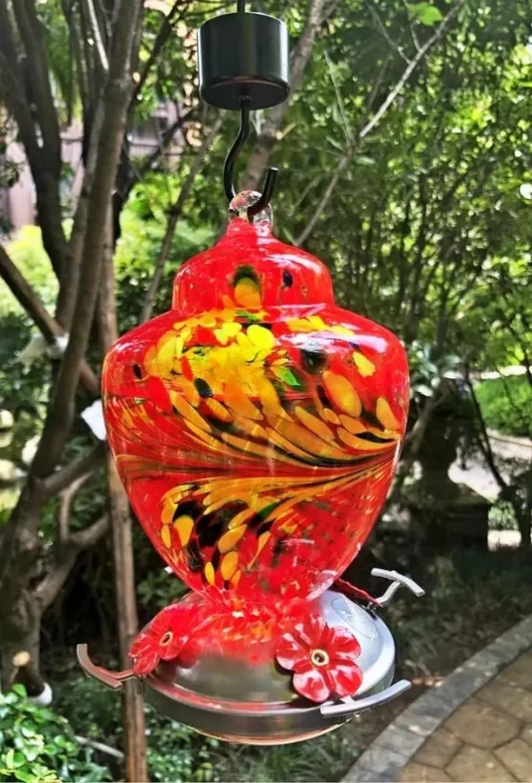 Bebederos Y Comederos Para Colibrí - Imagen 5