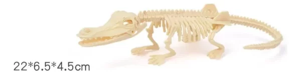 Jurásico Animal Dinosaurio Esqueleto Fósil Set De 5 Pcs - Imagen 6