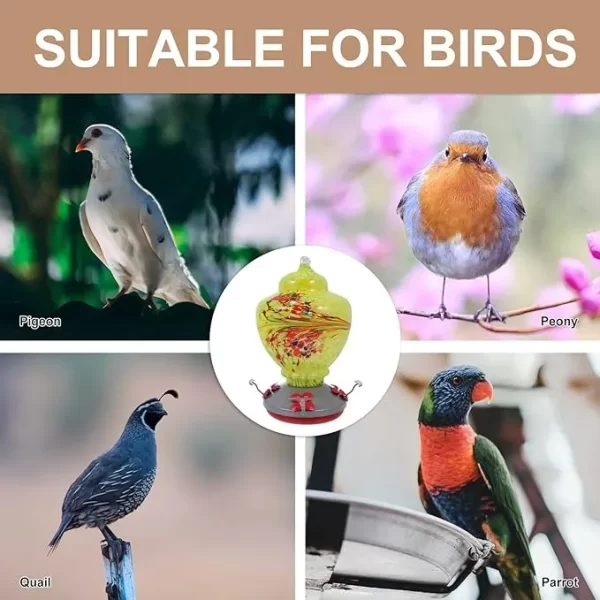 Bebederos Y Comederos Para Colibrí - Imagen 2