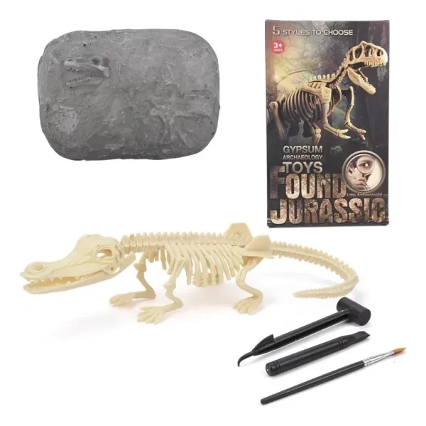 Jurásico Animal Dinosaurio Esqueleto Fósil Set De 5 Pcs - Imagen 3