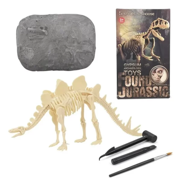 Jurásico Animal Dinosaurio Esqueleto Fósil Set De 5 Pcs - Imagen 7