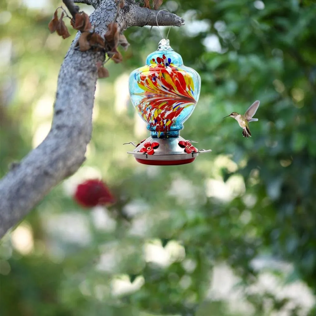 Bebedero Y Comedero Para Aves - Imagen 4