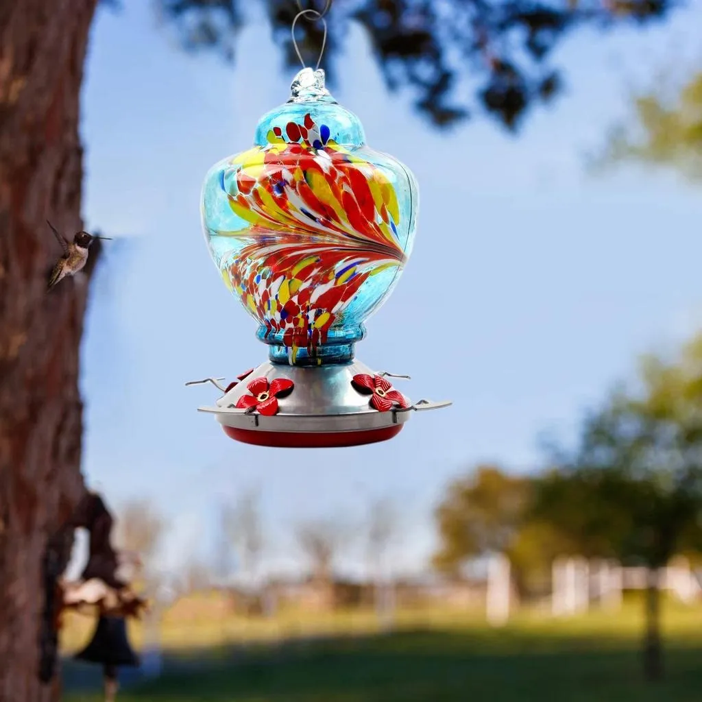 Bebedero Y Comedero Para Aves - Imagen 8