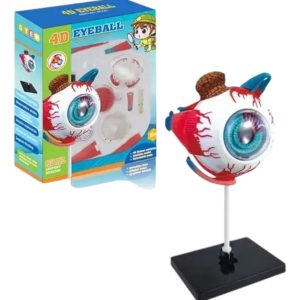 Ojo 4d Didáctico Globo Ocular Rompecabezas Puzzle 32 Piezas