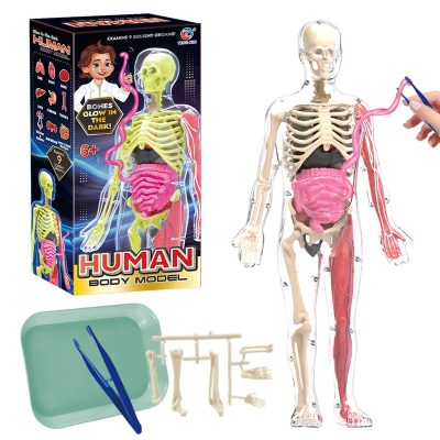 WhatsApp Image 2026-03-26 at 2.09.15 PM (1)